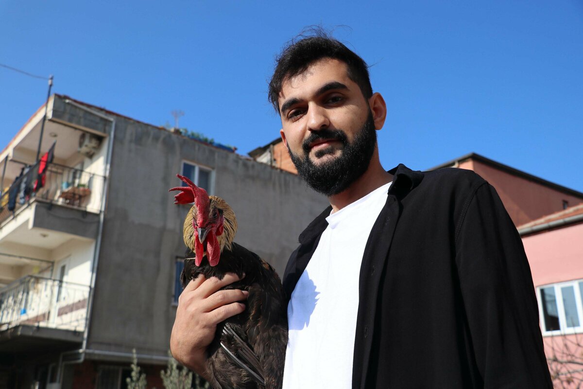 ce85a729de304d28b65304cd1d348546