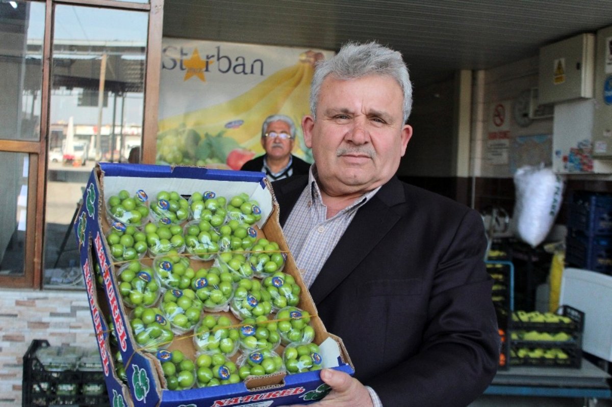 turfanda-erik-cep-yakiyor-12976015-amp