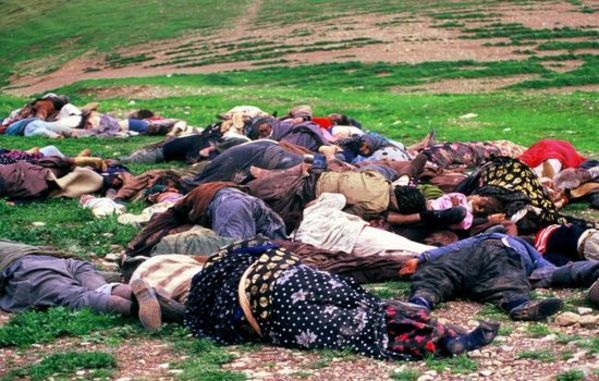 2404936-33d75dd549f1ac20e330f259258acb5c