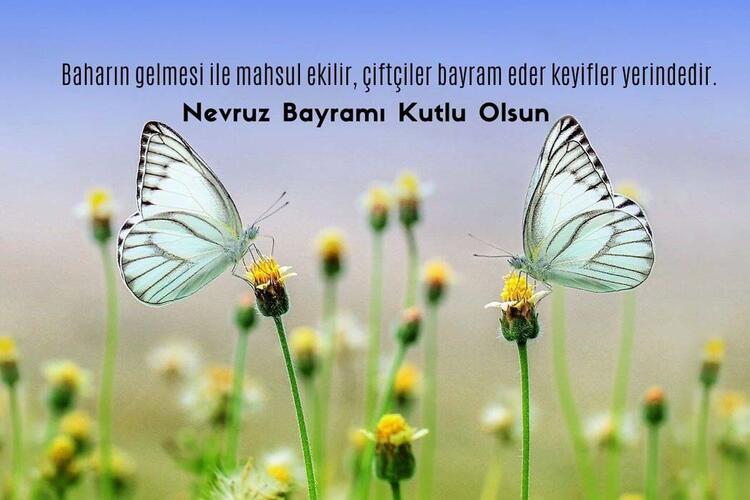 60563a1a55428114b08225b4-001