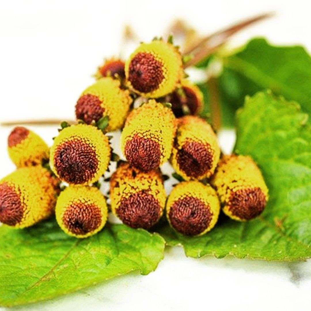 f28c9e1b6e698332e2160ba566ebd848