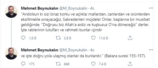 mehmet-boynukalin