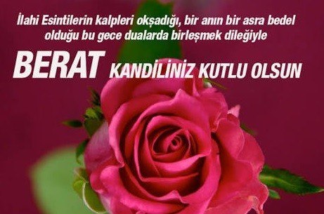 0420202226035738804-002