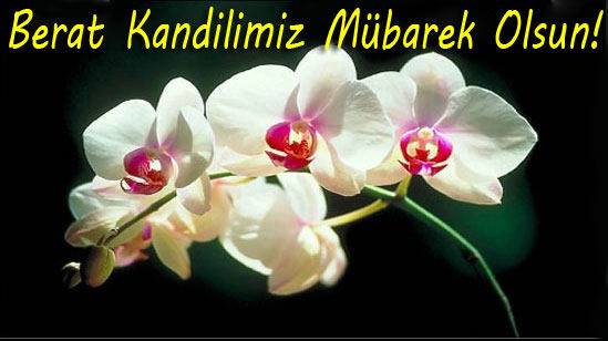 0420202249505737219-001