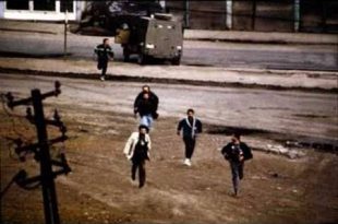 89979524-3018803901516091-6763611749238177792-n-310x205-001