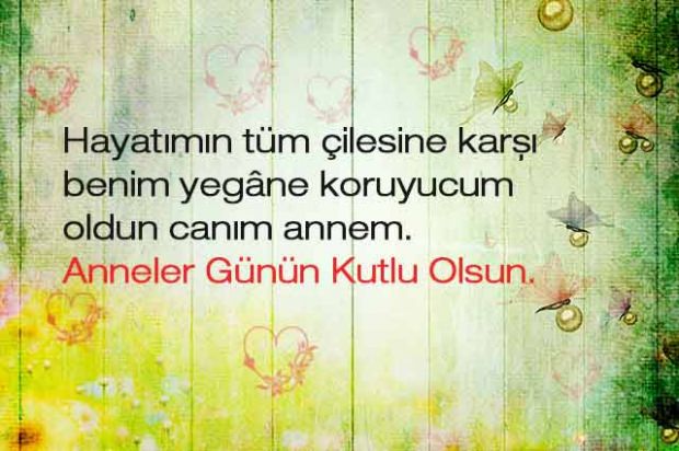 agnka-1526042404-9585