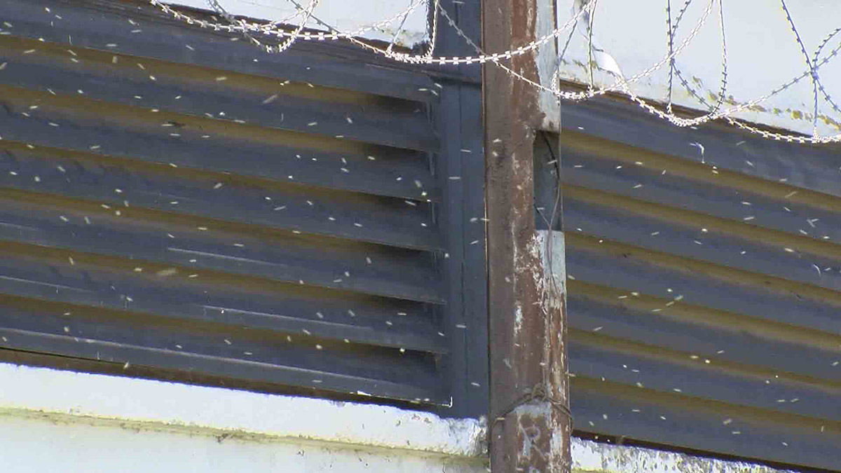 havalar-isindi-buyukcekmeceyi-kronomid-sardi-3482-dhaphoto10