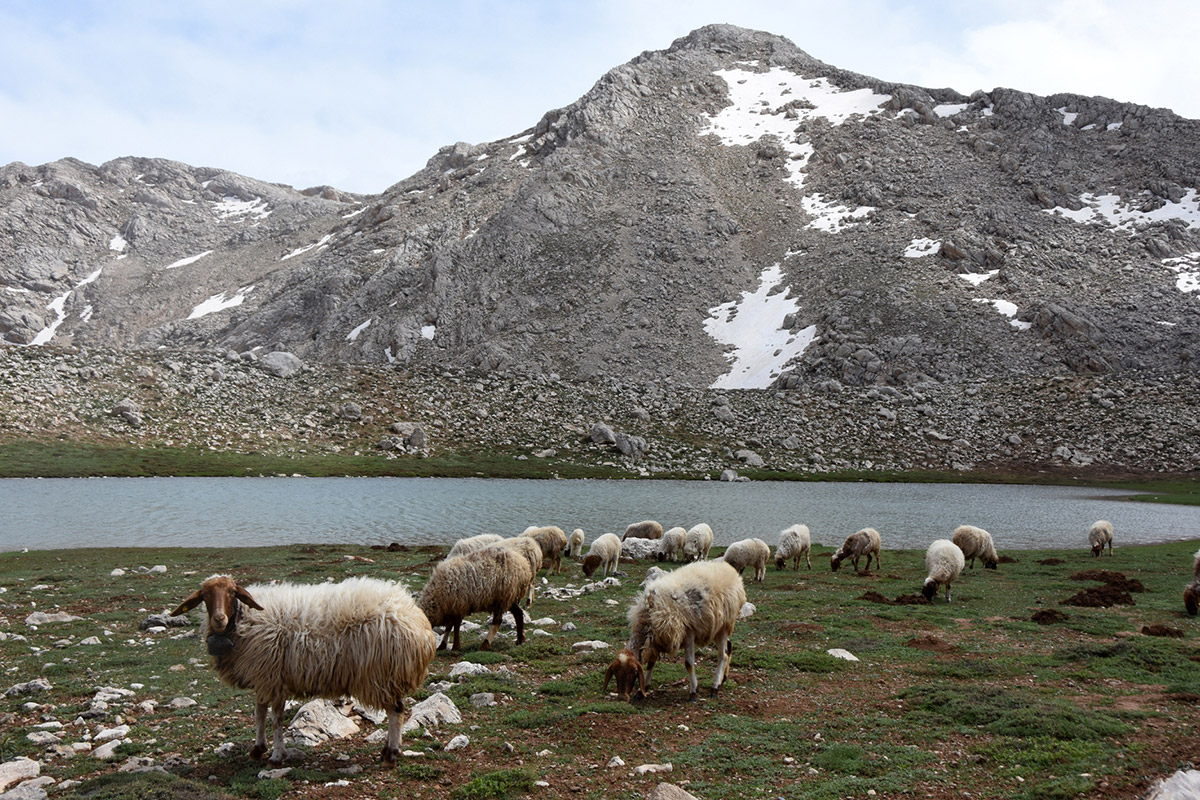 kuruyan-ikiz-goller-yagislarla-yeniden-hayat-buldu-5621-dhaphoto3