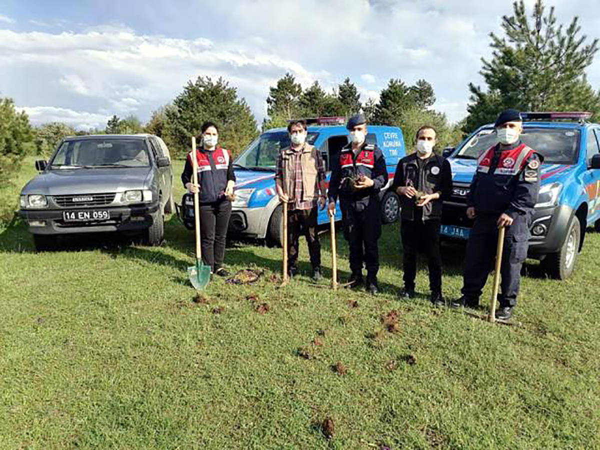 d6a5ecff5ceb8075a71aca94337171c3