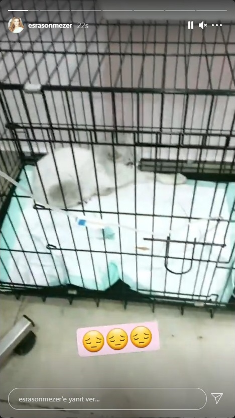 2021-06-02-123426-001