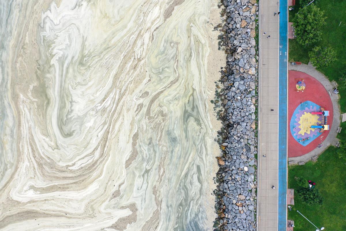 20210605-2-48621791-65802451