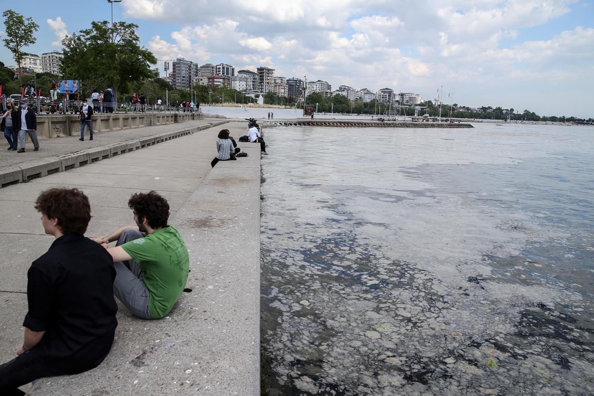 20210605-2-48624403-65808066