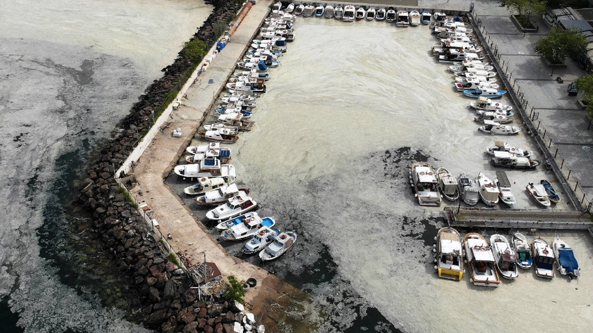 marmara-denizi-musilaj