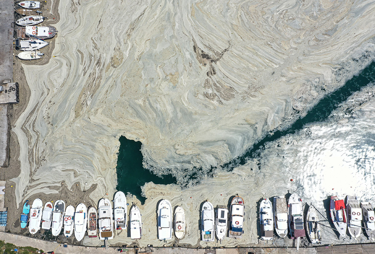 20210607-2-48642146-65847715