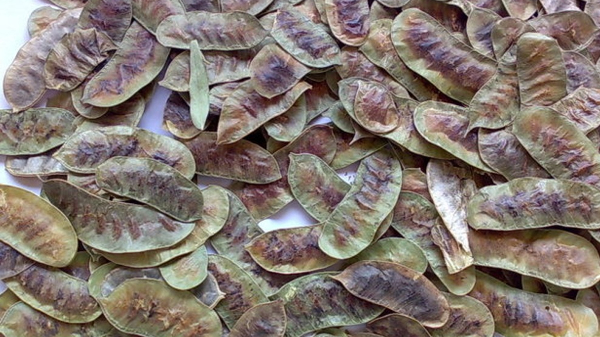 aclik-otu-uyarisi.jpg