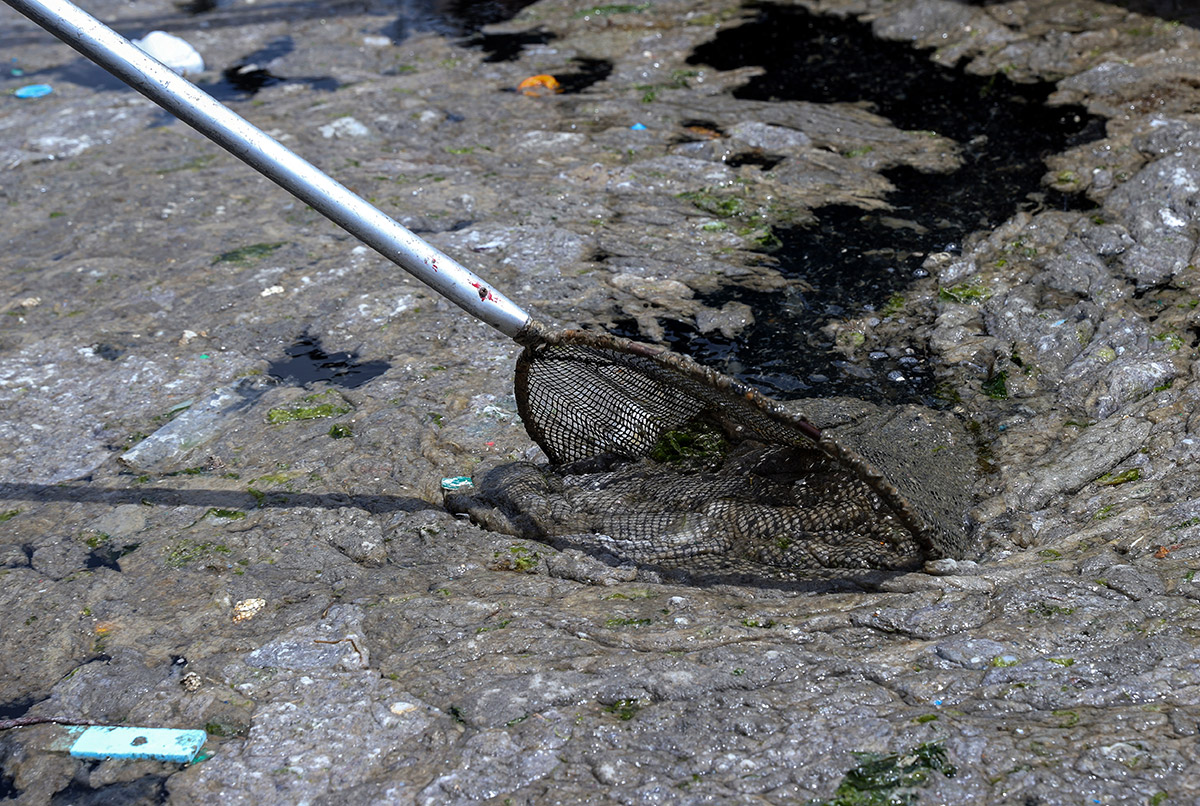 20210609-2-48671936-65904167