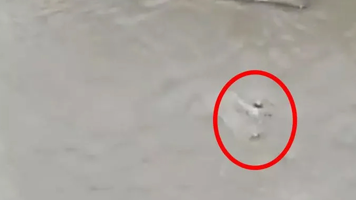 yuzerek-kurtardi-ankara