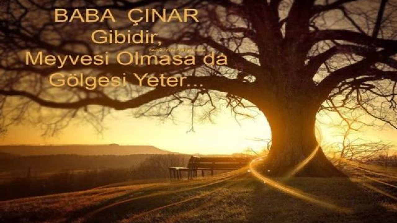 0620201638061020078-001