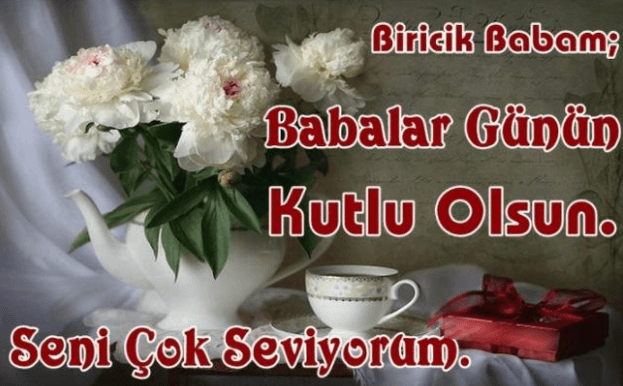 resimli-babalar-gunu-mesajlariekran-resmi-2017-06-18-054147