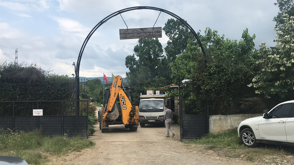 20210621-2-48858964-66295996