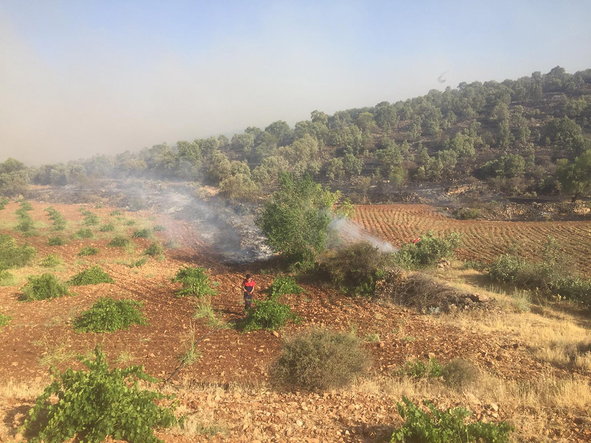 20210629-2-48977013-66537404