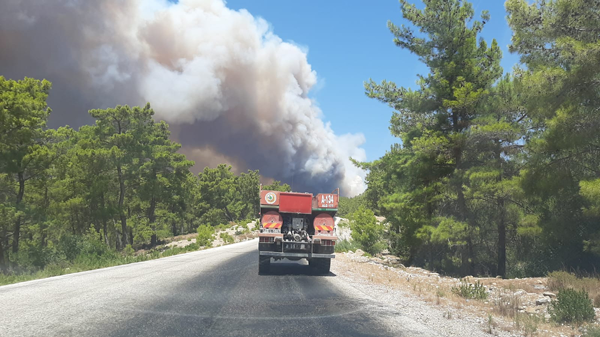 20210728-2-49367576-67392233-copy