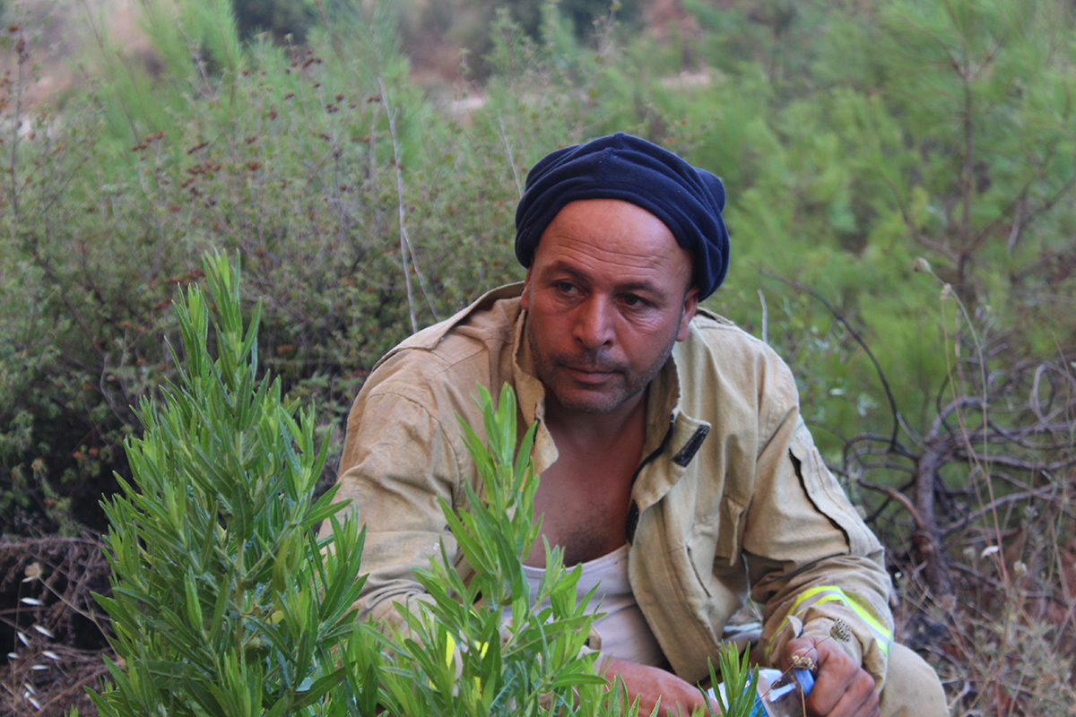 manavgattaki-buyuk-yangin-4uncu-gununde-2-orman-iscisi-yasamini-yitirdi-3-1173-dhaphoto9-copy