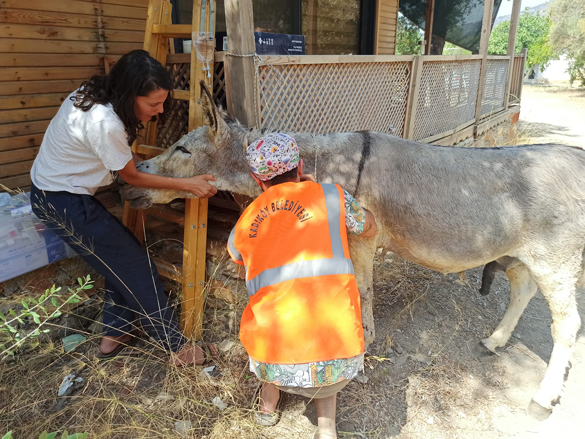 1627986827-kb-hayvan-kurtarma-4-copy