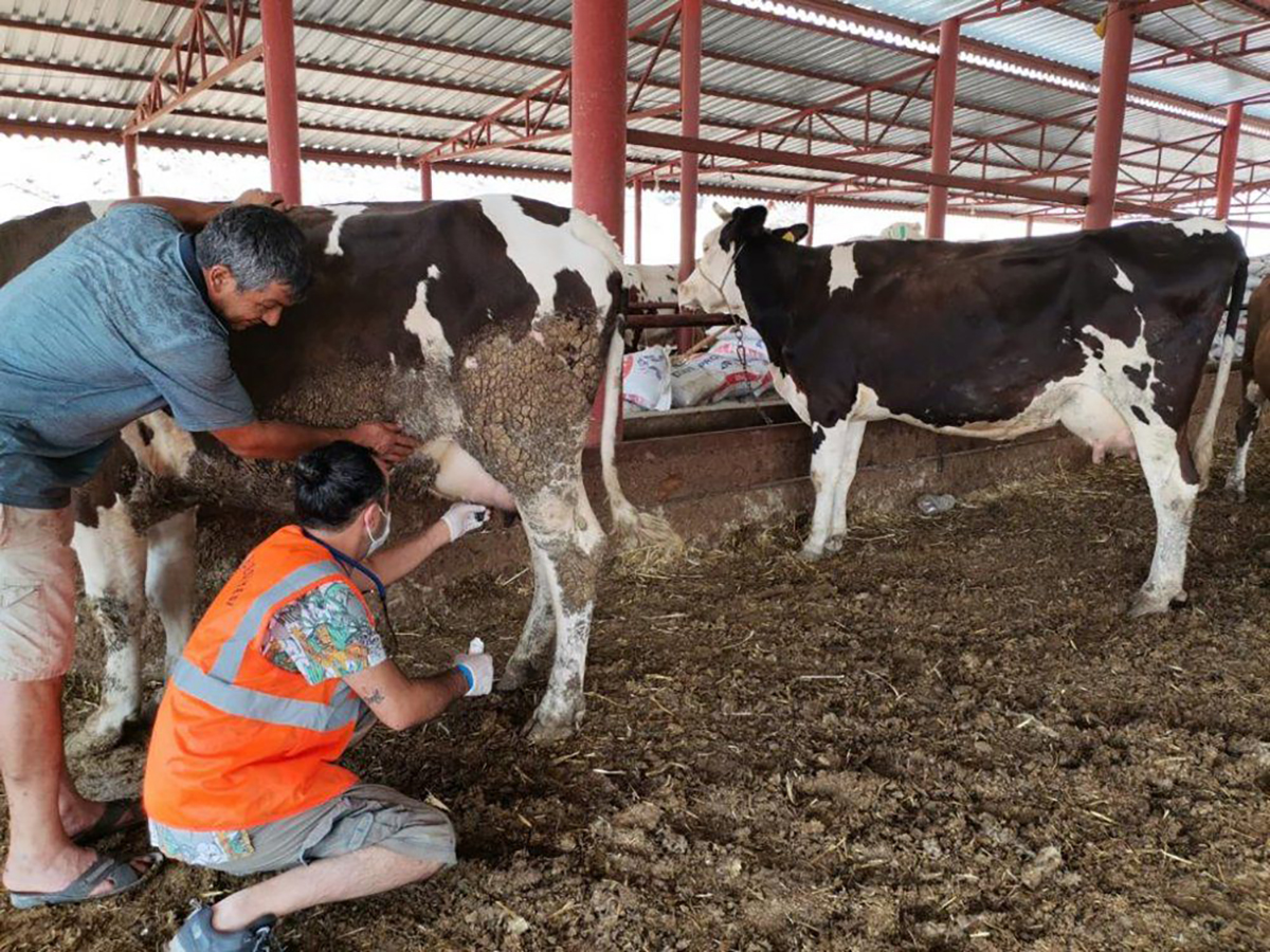 1627987463-kb-hayvan-kurtarma-3-copy