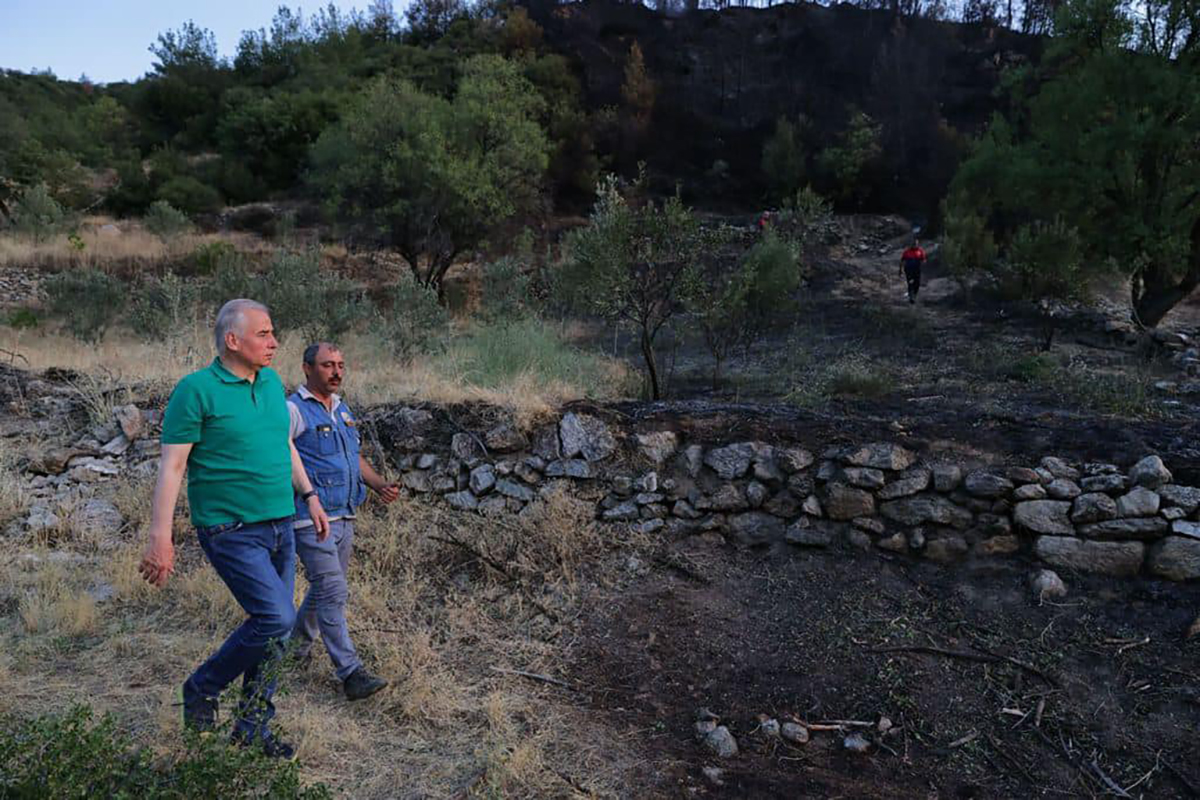 20210806-2-49497997-67680362-copy