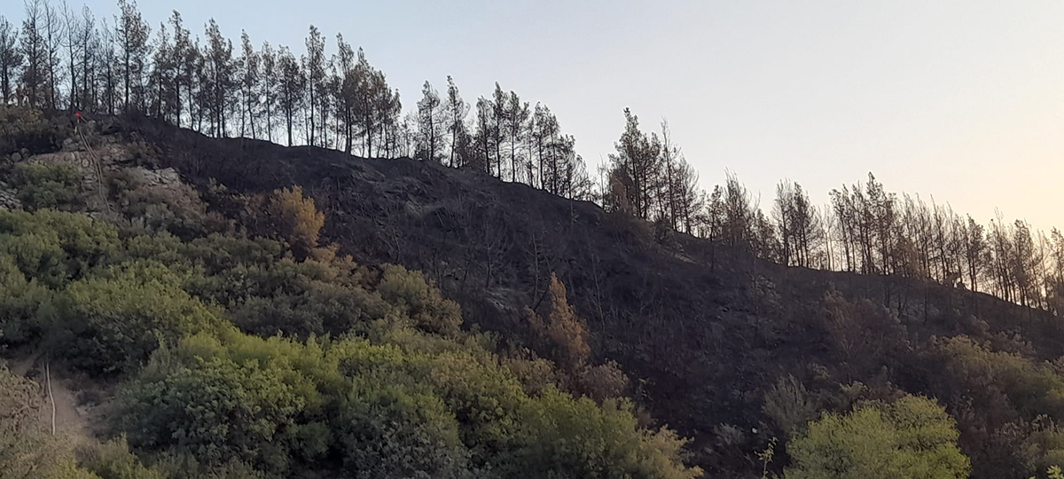 20210806-2-49497997-67680365-copy