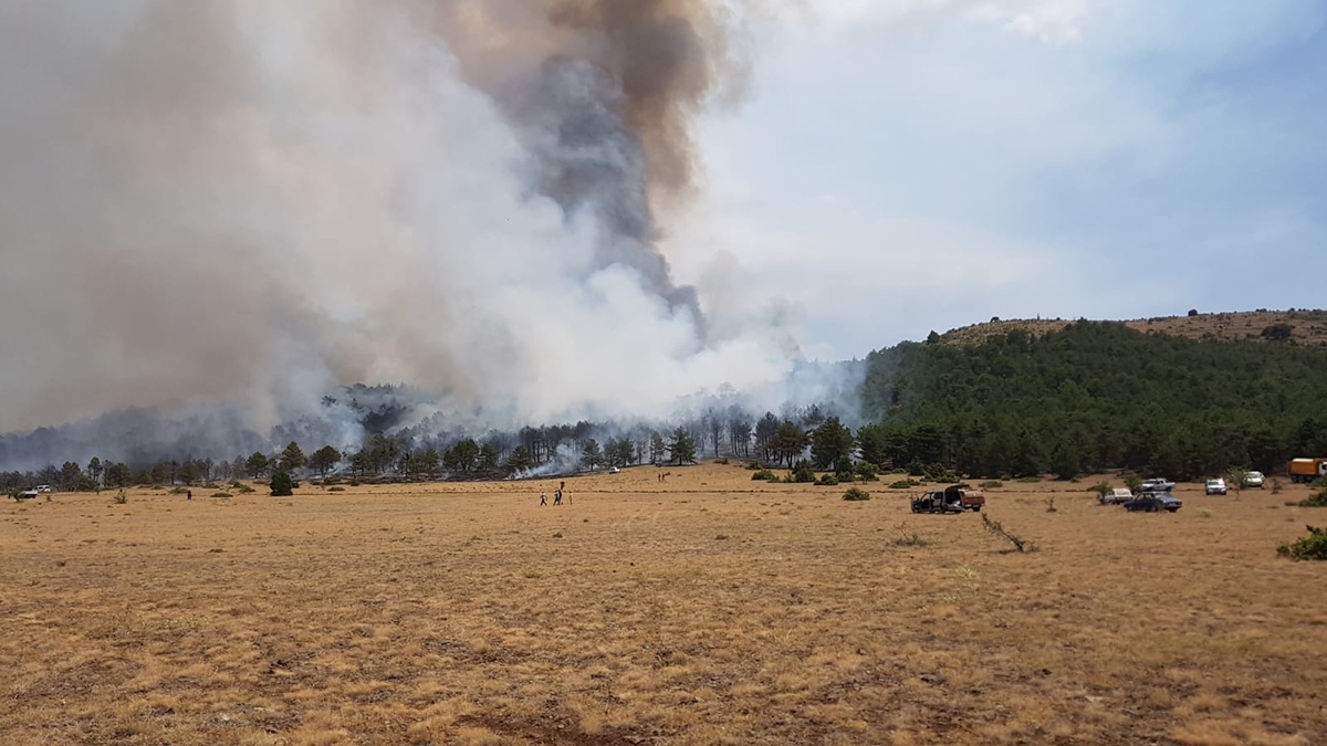 20210806-2-49502194-67688664-copy