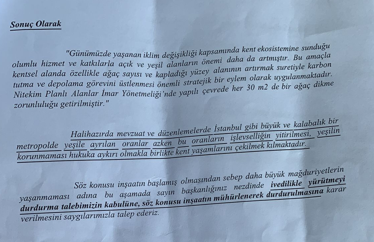 avukatin-yazdigi-dilekce-2