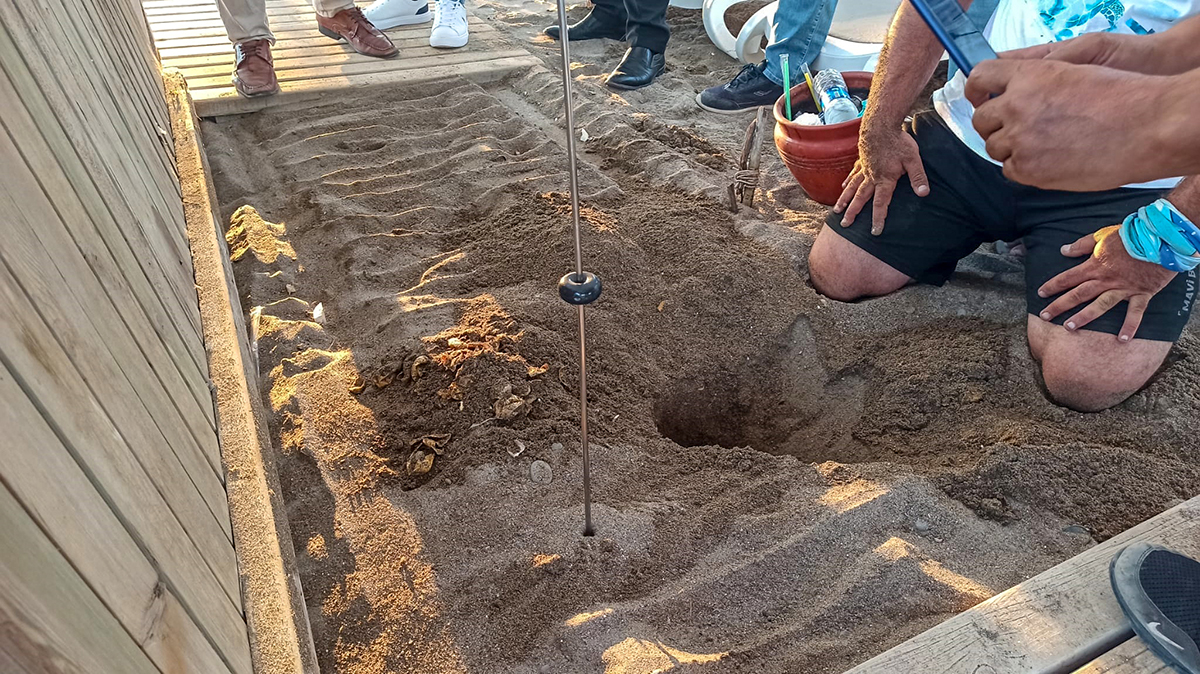 5-yildizli-caretta-katliaminda-iki-oteli-agir-cezalar-bekliyor-7409-dhaphoto4-copy