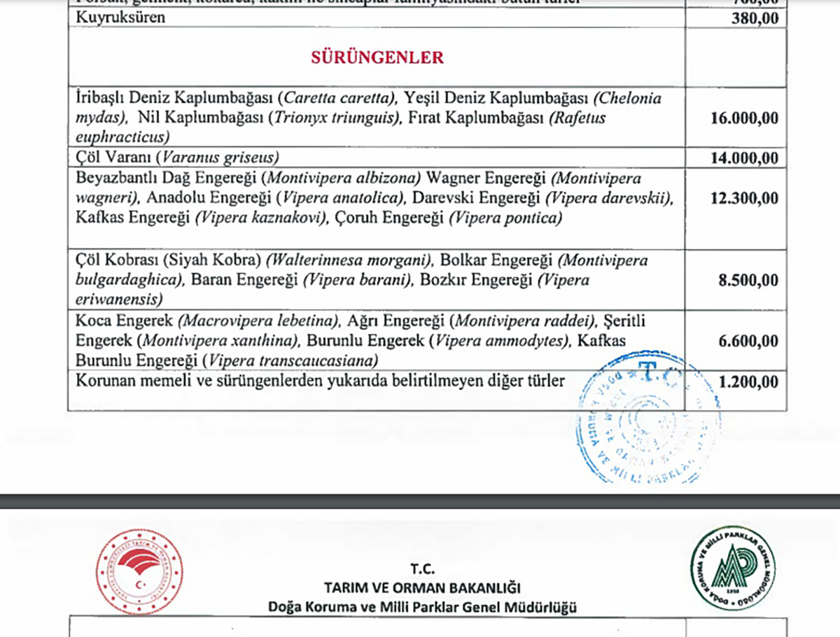 5-yildizli-caretta-katliaminda-iki-oteli-agir-cezalar-bekliyor-7409-dhaphoto5-copy