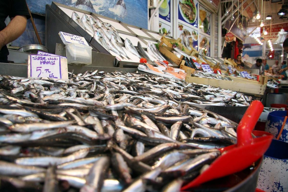 5d2244ab5cf3b0153cf6d109