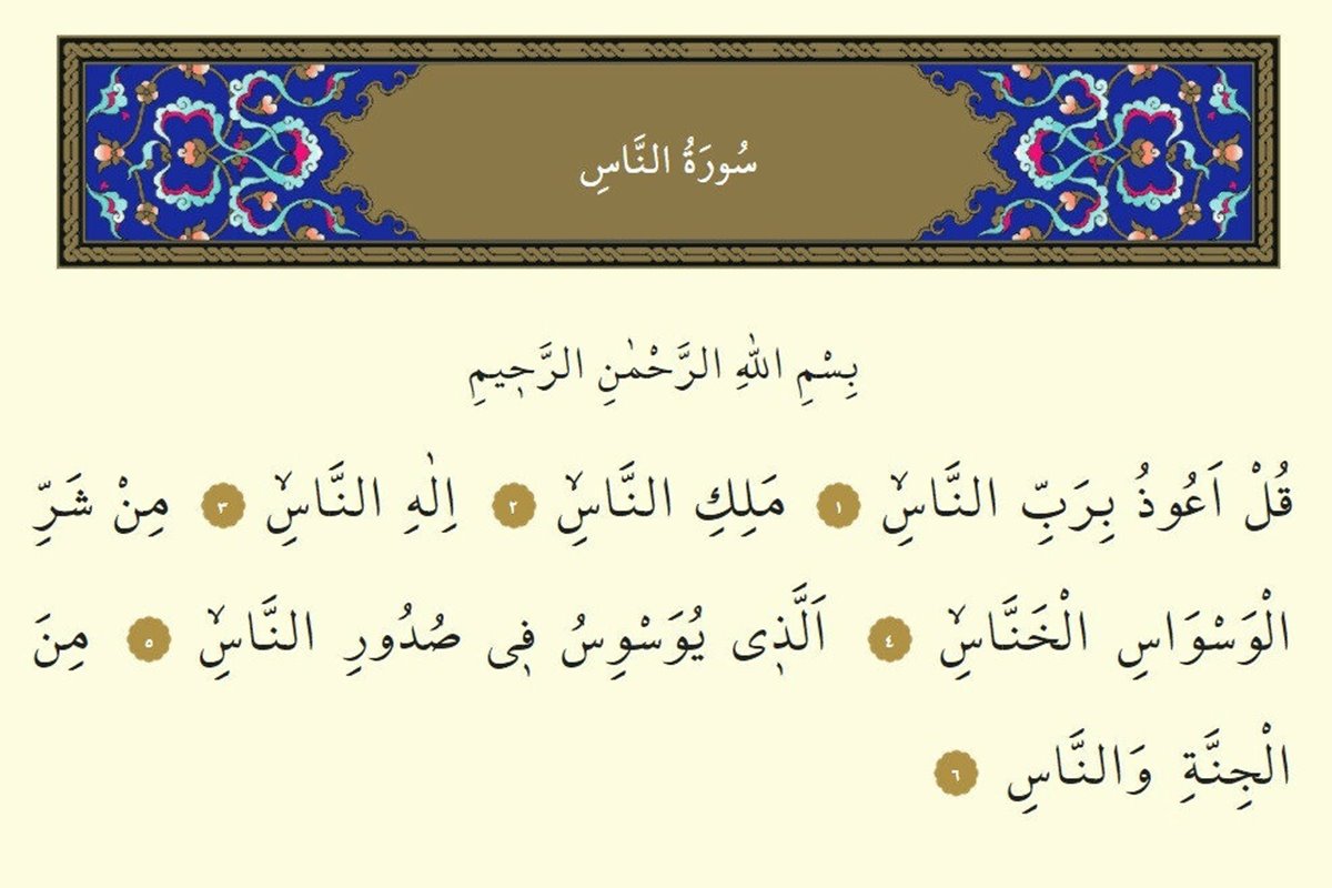 resized-61ba2-eed3892dnas