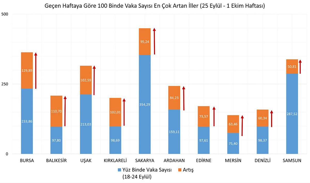 grafik.jpg