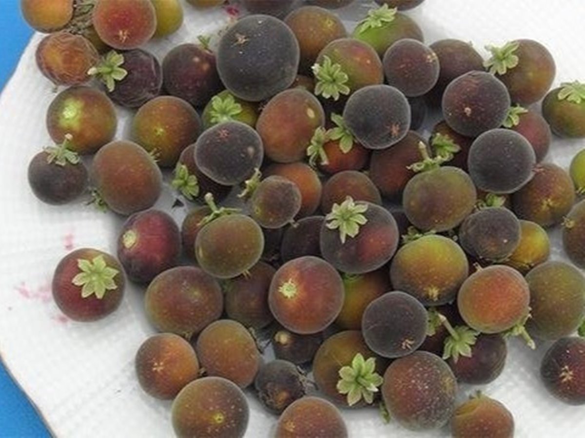 a27d24-d355f7f5ea8a48d397b1d41f4862a146-mv2