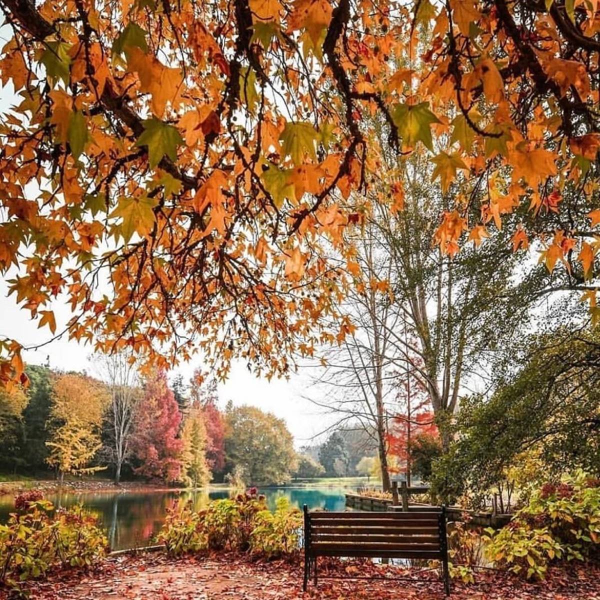 ataturk-arberatumu-fotograflar-resimler-14