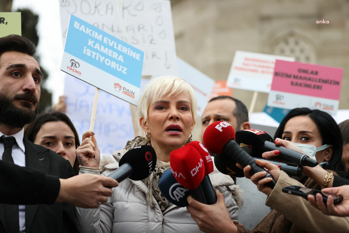 Hayvan Hakları Için Protesto: Toplamak Ve Barınaklara Kapatmak Suç