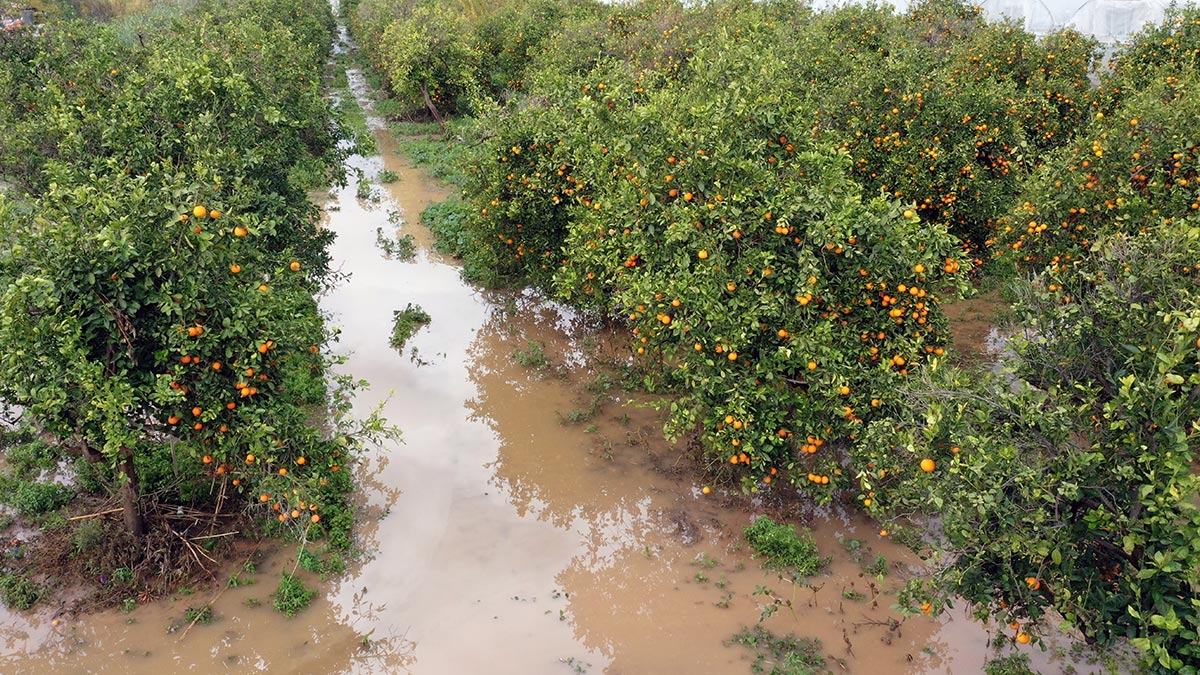 20211231-2-51540815-72120561