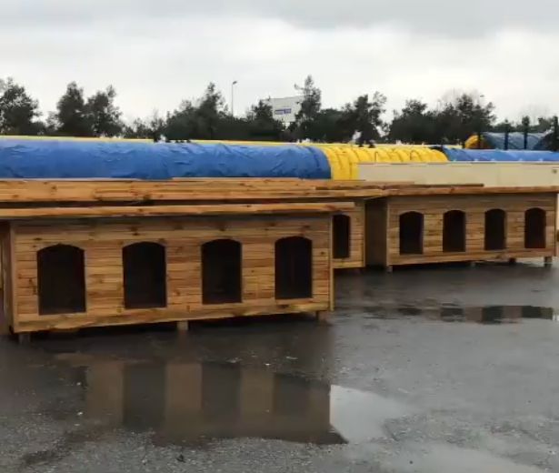 whatsapp-image-2022-01-12-at-23-38-55