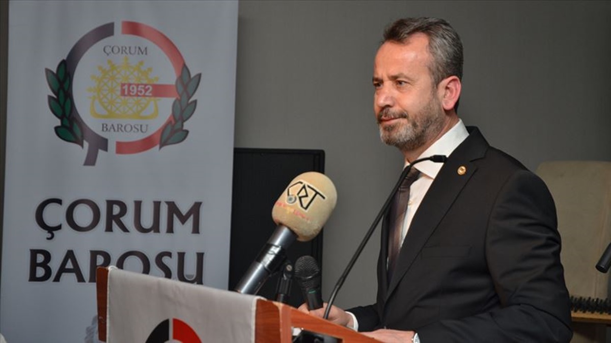 thumbs-b-c-6b67ad3807b7fdd23ca504fb1fc98348