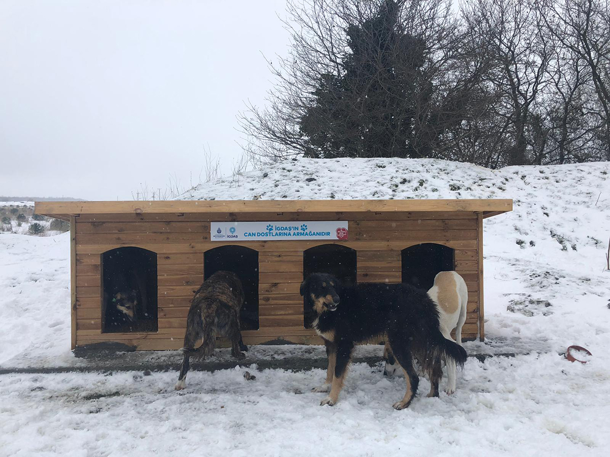 whatsapp-image-2022-01-25-at-09-17-36-1-copy