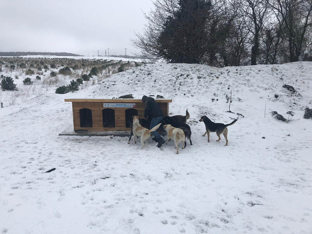 whatsapp-image-2022-01-25-at-09-17-36-copy