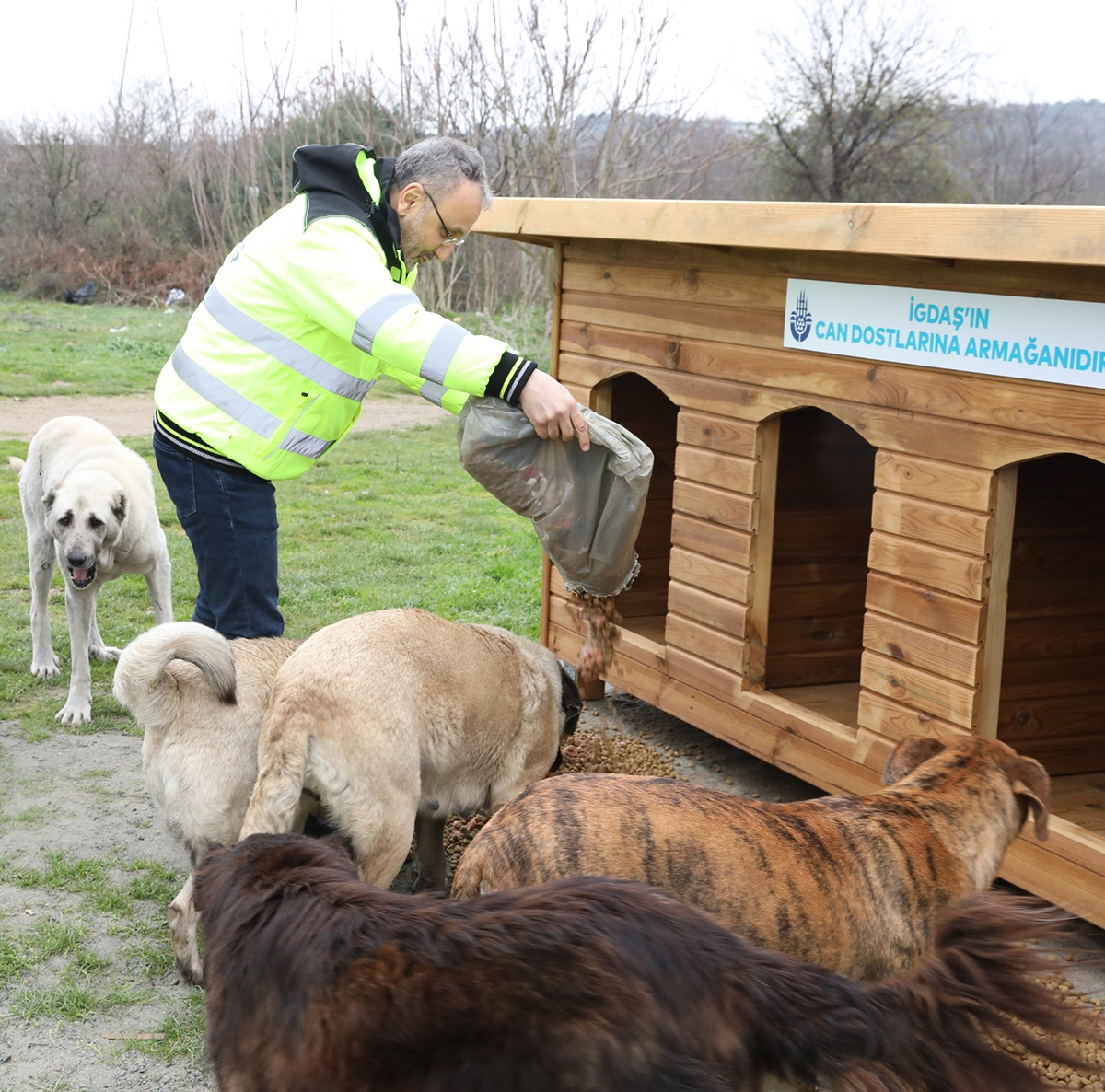 whatsapp-image-2022-01-25-at-10-03-00-copy