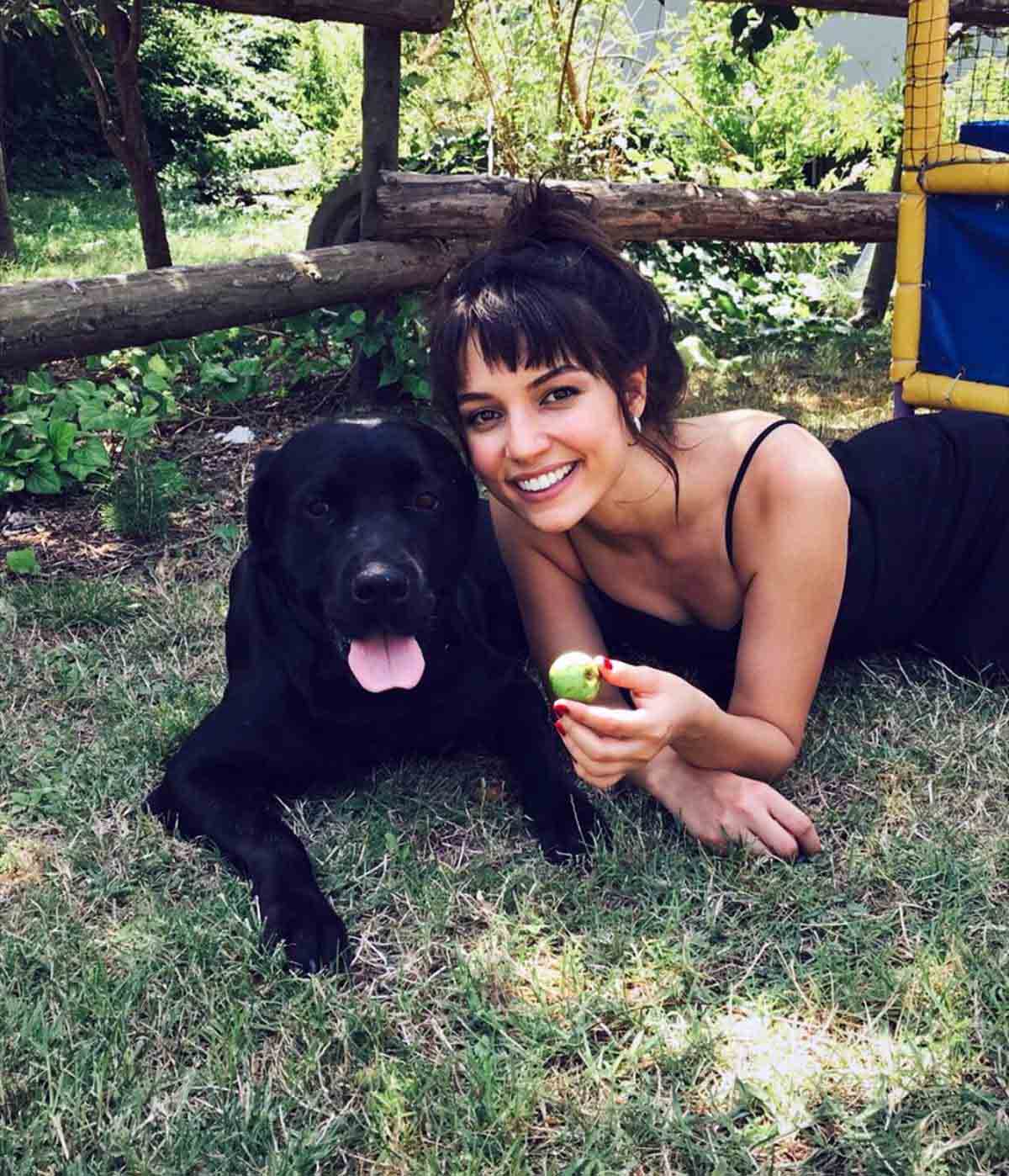 36622843-635755550121541-902550462010490880-n