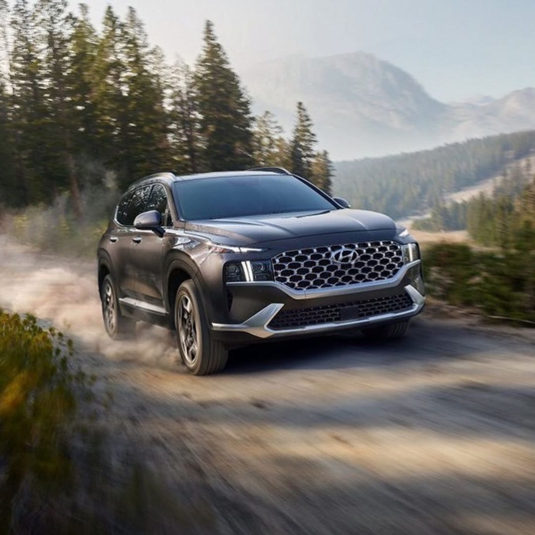 grupposicav2000-274154414-491791192618159-2710864407219419108-n