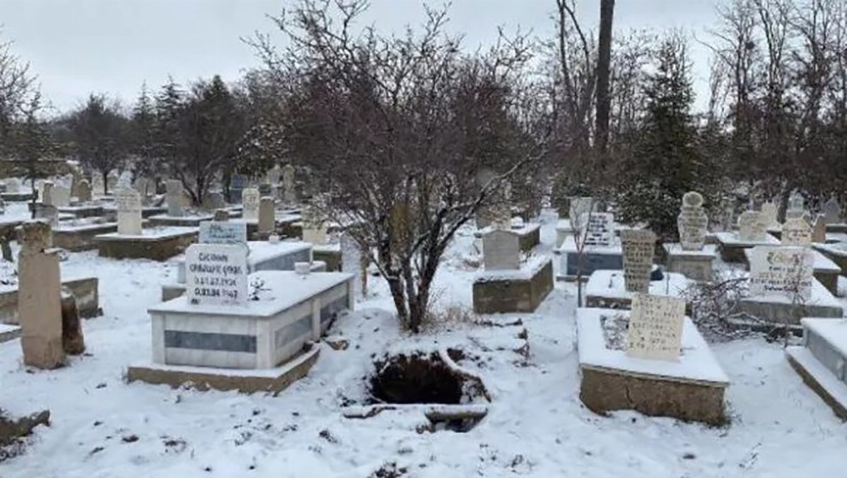 623068684e3fe022a4b7a2ae-1647340529-643